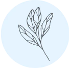 Image 33969742086455